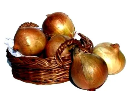 botanika