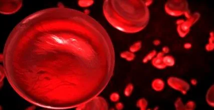 anaemia kezelés
