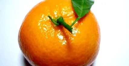 szív- érrendszeri mandarin