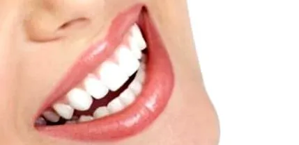 bölcsek