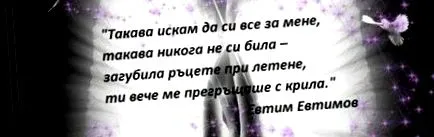 merian