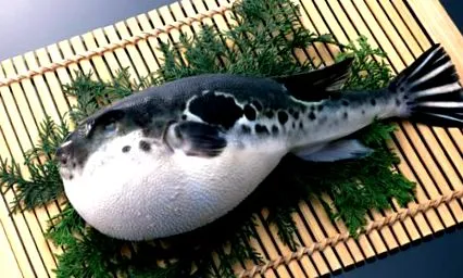 finomságainak