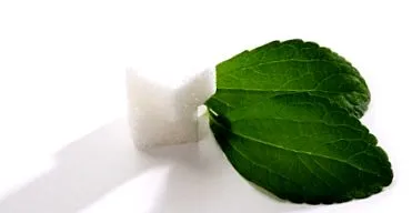 cukorhelyettesítő stevia