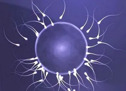 oligoastenoteratozoospermia természetes oligoastenoteratozoospermia természetes terhesség