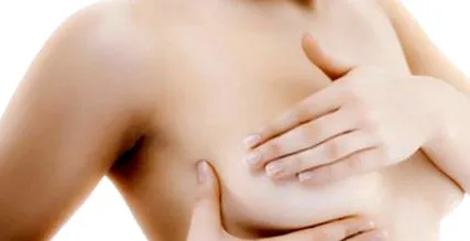 emlőmirigy areola mellbimbó