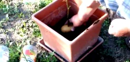 kell egyszerű