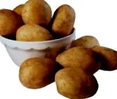 didi anya