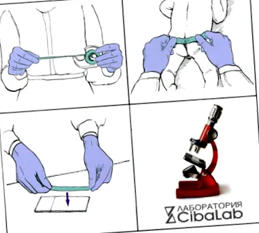cibalab scoch