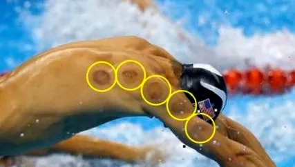 phelps úszó
