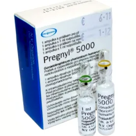 koriongonadotropin 5000