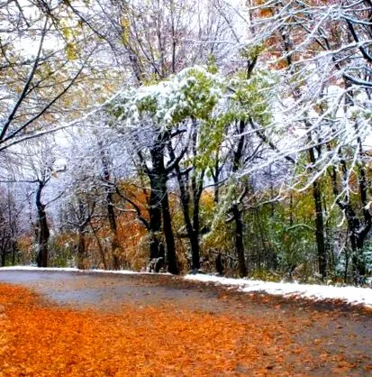 november előrejelzés