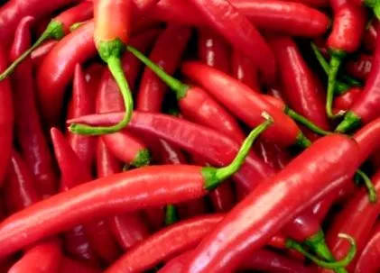 csípős paprika