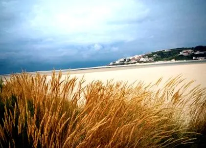 goodlife portugália