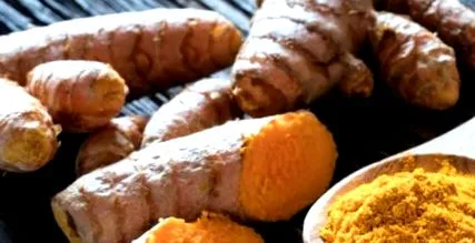 baktériumok esetén