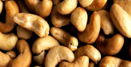 rámutattak