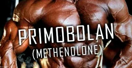primobolan anabolikus szteroidokkal