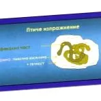 baromfitenyésztők