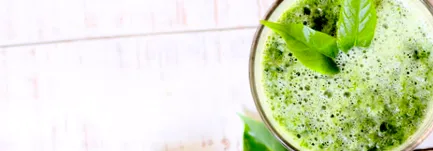 sebek healthlife
