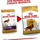 canin cocker
