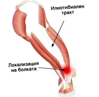 sport traktus