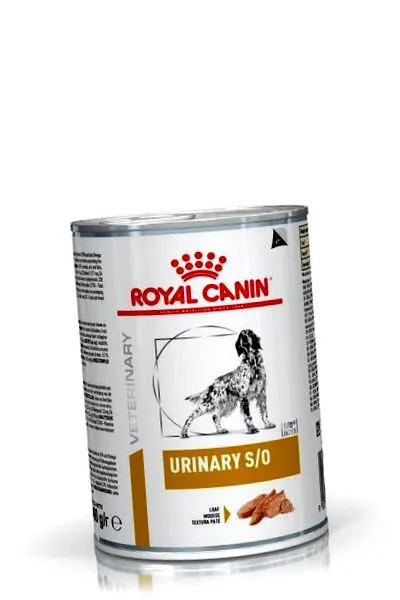 canin canin