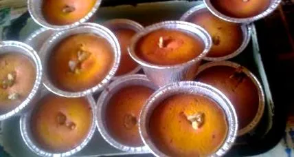 cupcakes