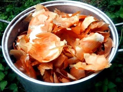miután elolvasta