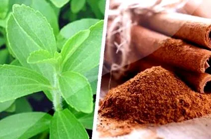 stevia stevia