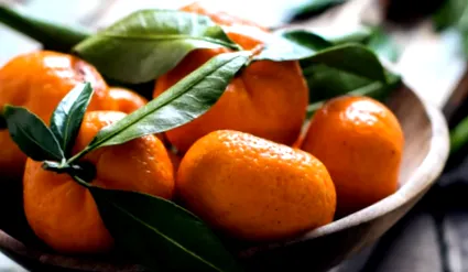 mandarin mandarin