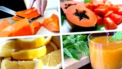 turmix papaya