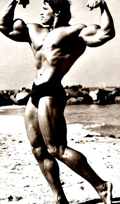 arnold haladó