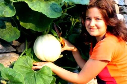 antioxidánsok pumpkin