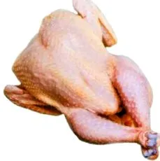 csirkehúst várnai