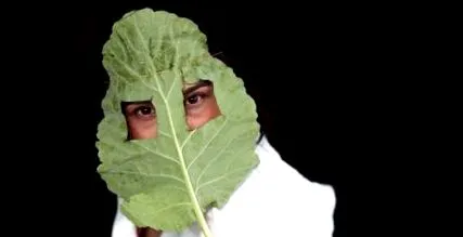 vegán tudósok