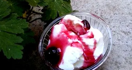 fagyasztott joghurt