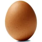 alternatívák