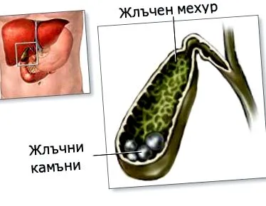tanulmány szerint tanulmány szerint