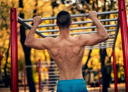 musculare
