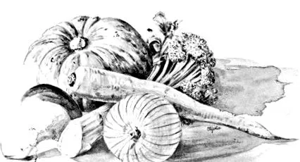 macrobiotic