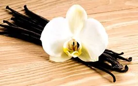 vanilla