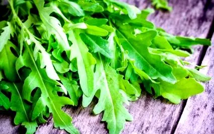 arugula