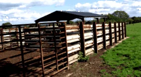 пасище стрес