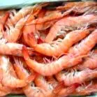 kitozán