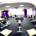 fitcurves