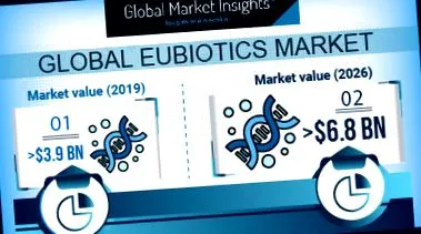 Market Insights