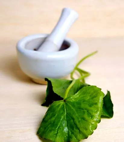 kola ползи