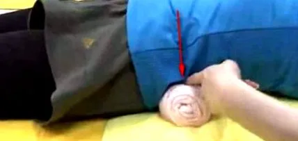 japoneză