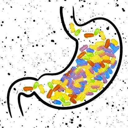 bacteriile