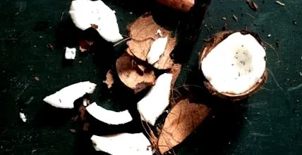 cocos