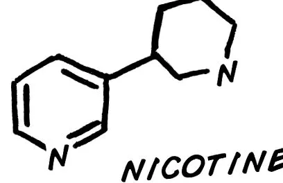 metabolism